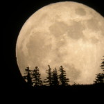 supermoon-may-2012-tim-mccord